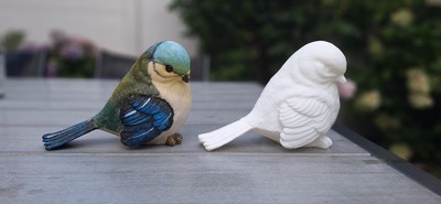 gescande_en_geprinte_vogel